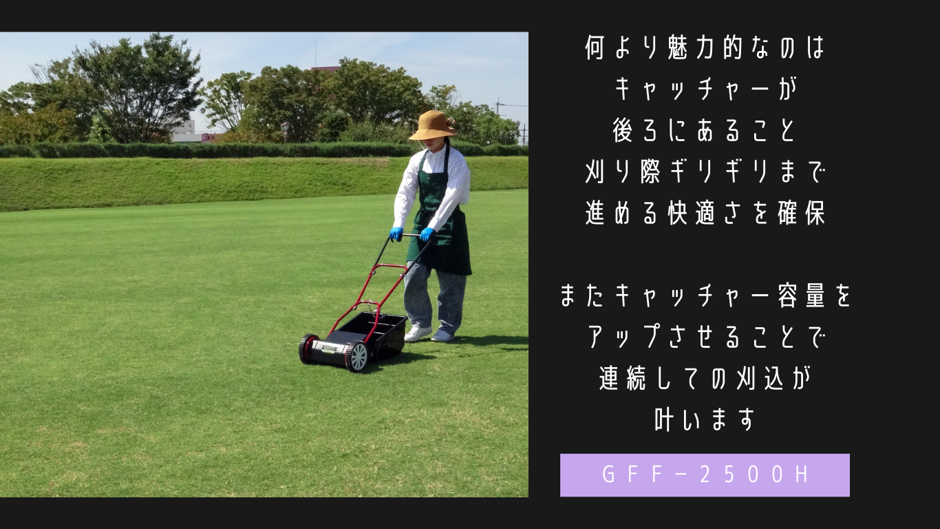 GFF説明3