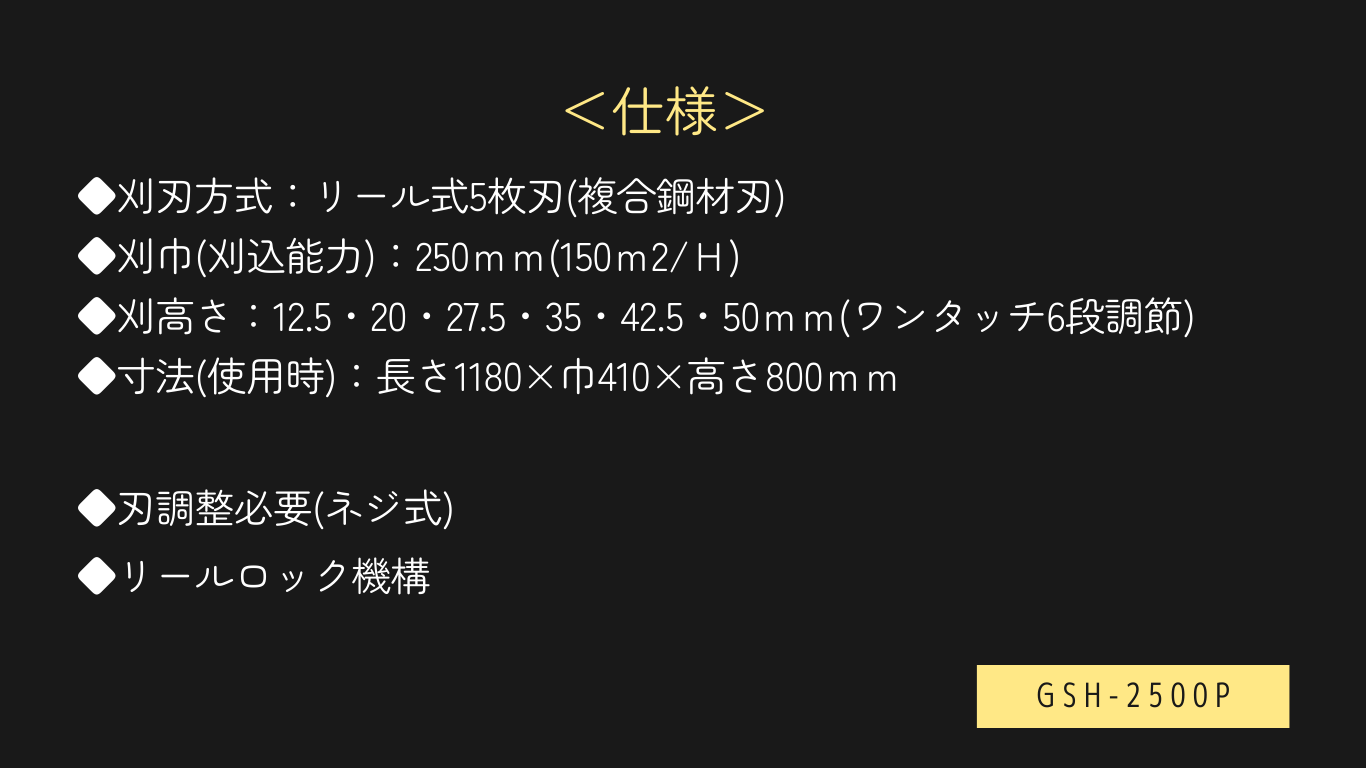 GSH-P説明2