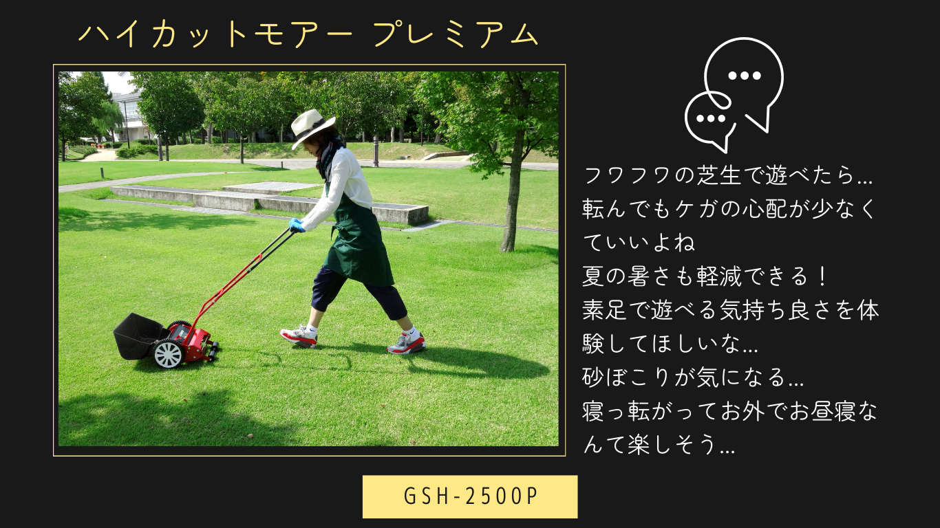 GSH-P説明5