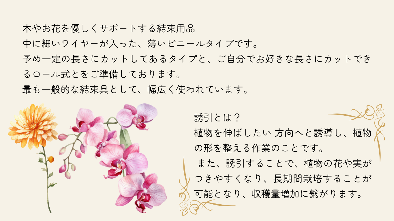 フリーカットタイ説明2