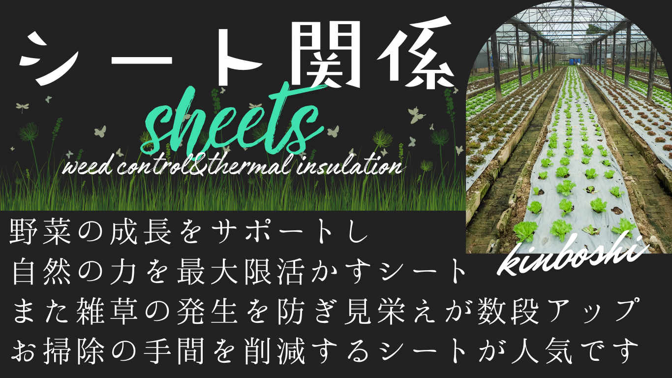 シート関係TOP